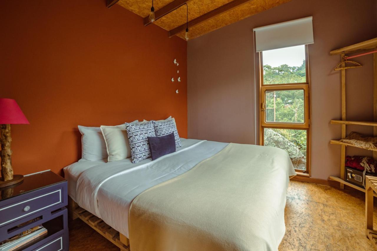 Coffee & Adventure Hotel By La Palma Y El Tucan Zipacon Luaran gambar
