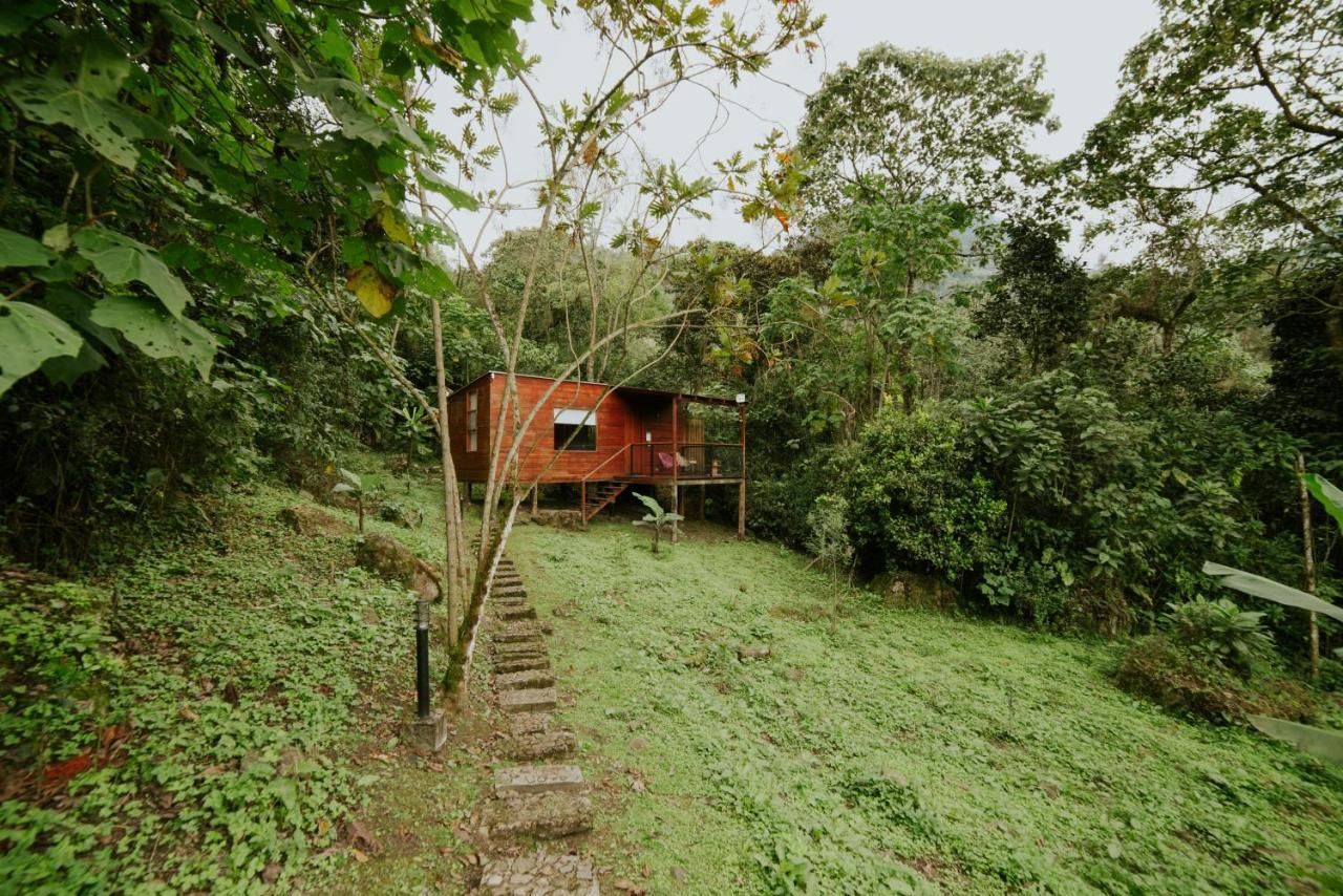 Coffee & Adventure Hotel By La Palma Y El Tucan Zipacon Luaran gambar