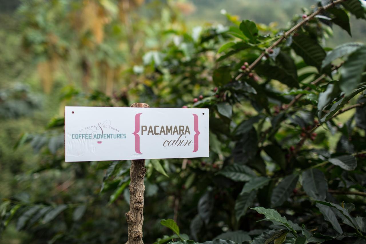Coffee & Adventure Hotel By La Palma Y El Tucan Zipacon Luaran gambar