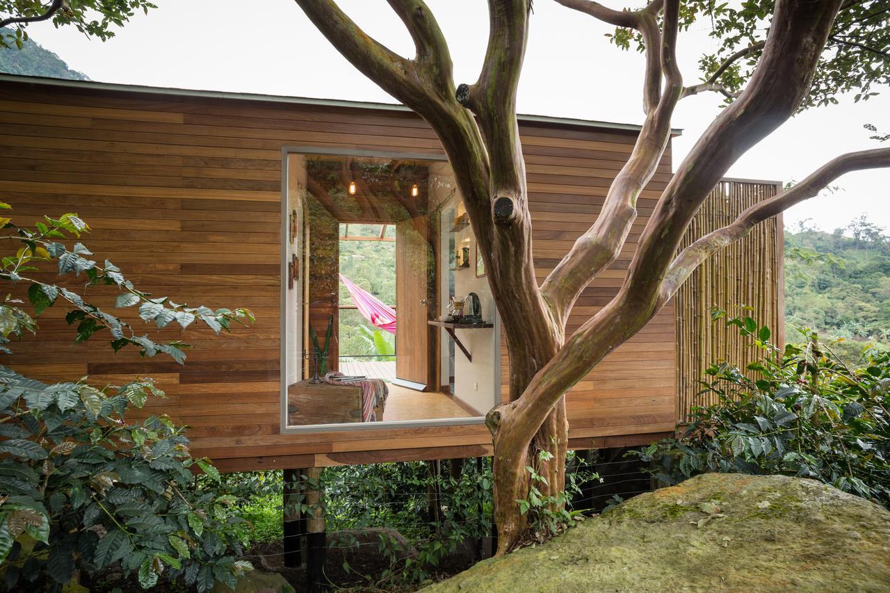 Coffee & Adventure Hotel By La Palma Y El Tucan Zipacon Luaran gambar