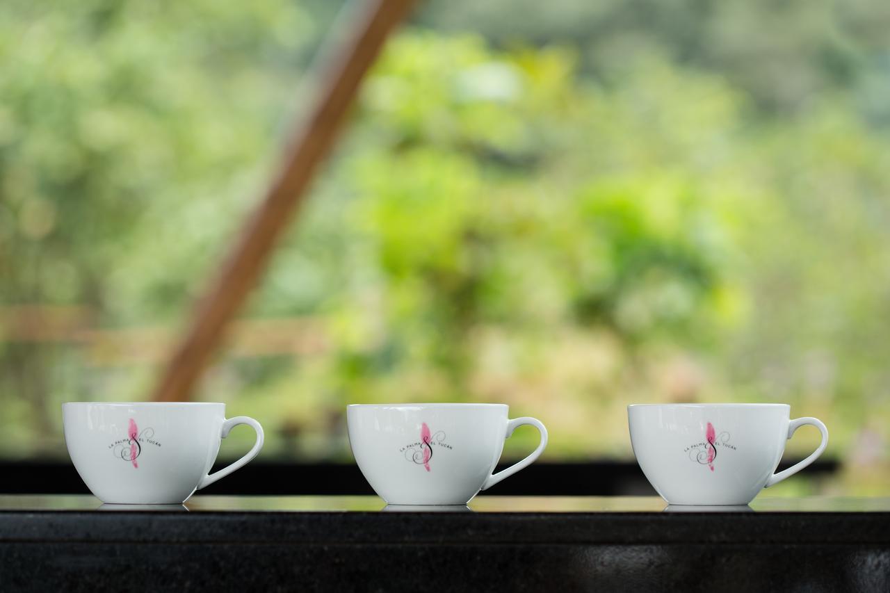 Coffee & Adventure Hotel By La Palma Y El Tucan Zipacon Luaran gambar