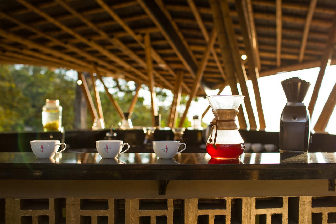 Coffee & Adventure Hotel By La Palma Y El Tucan Zipacon Luaran gambar