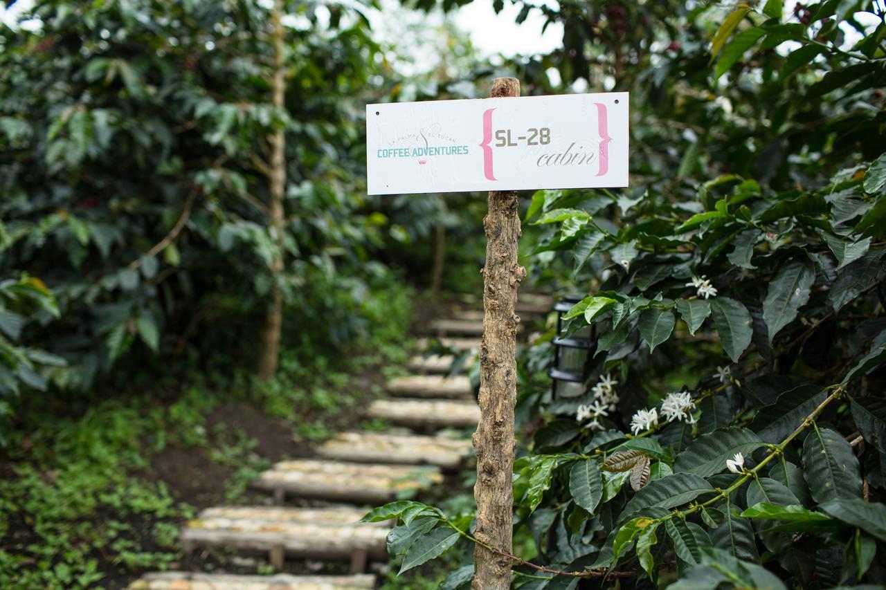 Coffee & Adventure Hotel By La Palma Y El Tucan Zipacon Luaran gambar