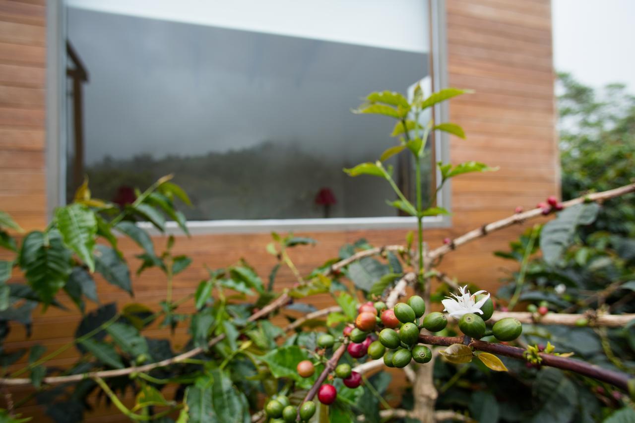 Coffee & Adventure Hotel By La Palma Y El Tucan Zipacon Luaran gambar
