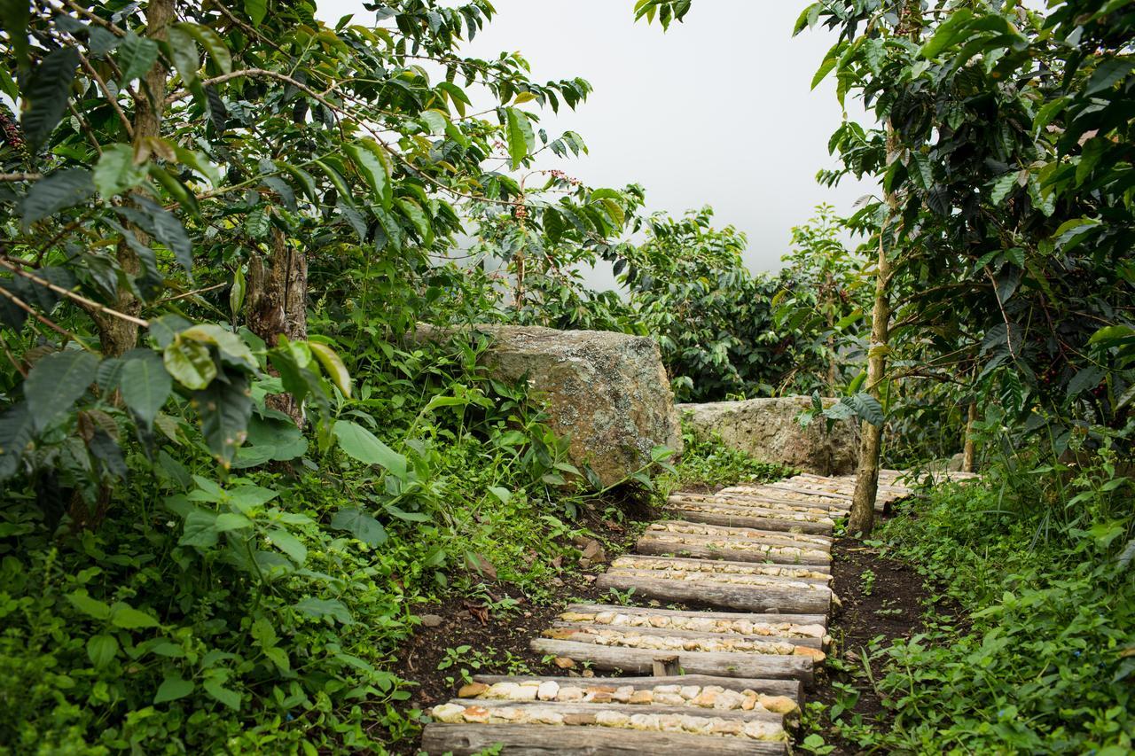 Coffee & Adventure Hotel By La Palma Y El Tucan Zipacon Luaran gambar