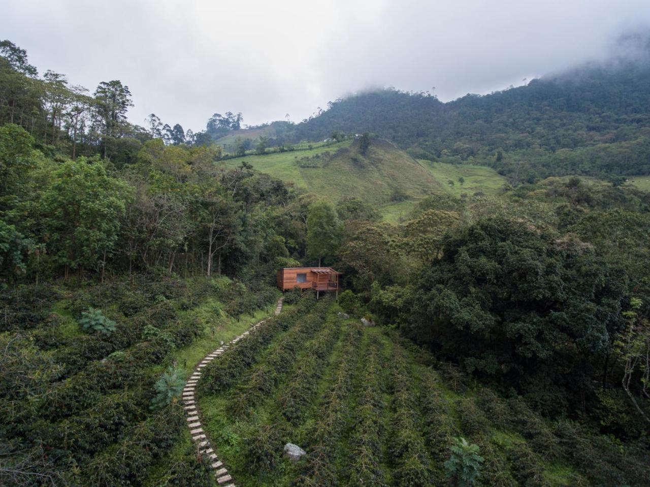 Coffee & Adventure Hotel By La Palma Y El Tucan Zipacon Luaran gambar